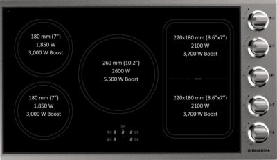 The BSP36INDCKT induction unit.